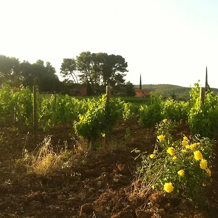 فندق Domaine Rabiega 3*
