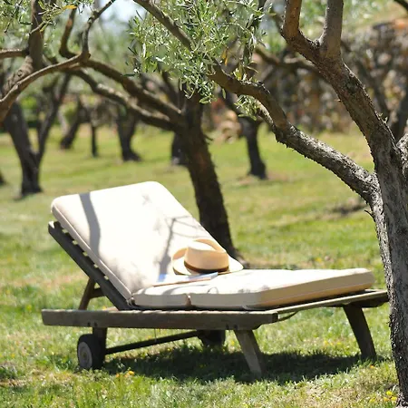 Domaine Rabiega